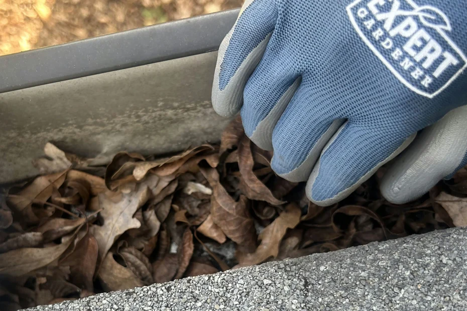 Pelahatchie Gutter Cleaning