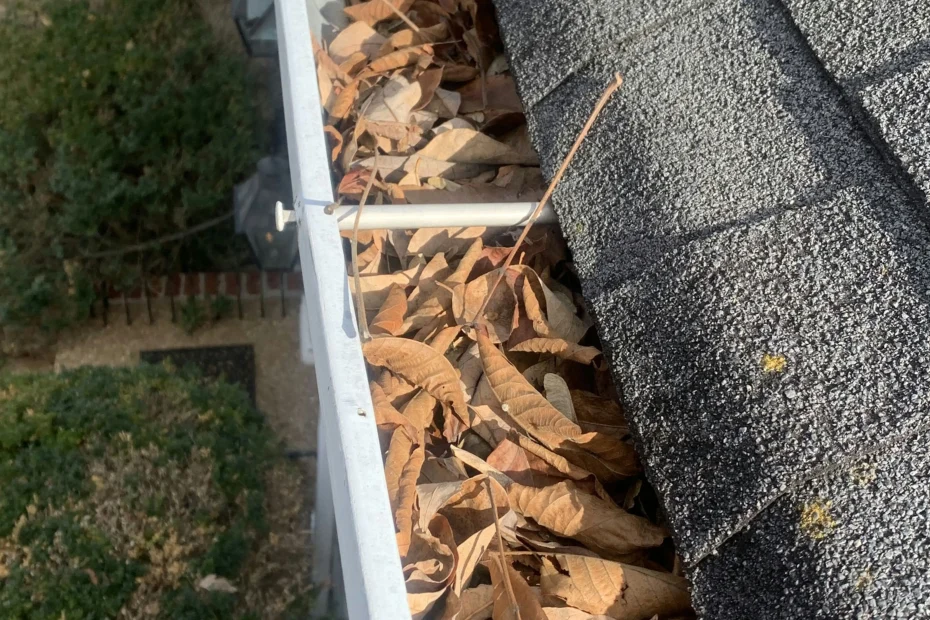 Pelahatchie Gutter Cleaning